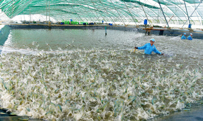 Xu hướng nuôi trồng thủy sản bền vững